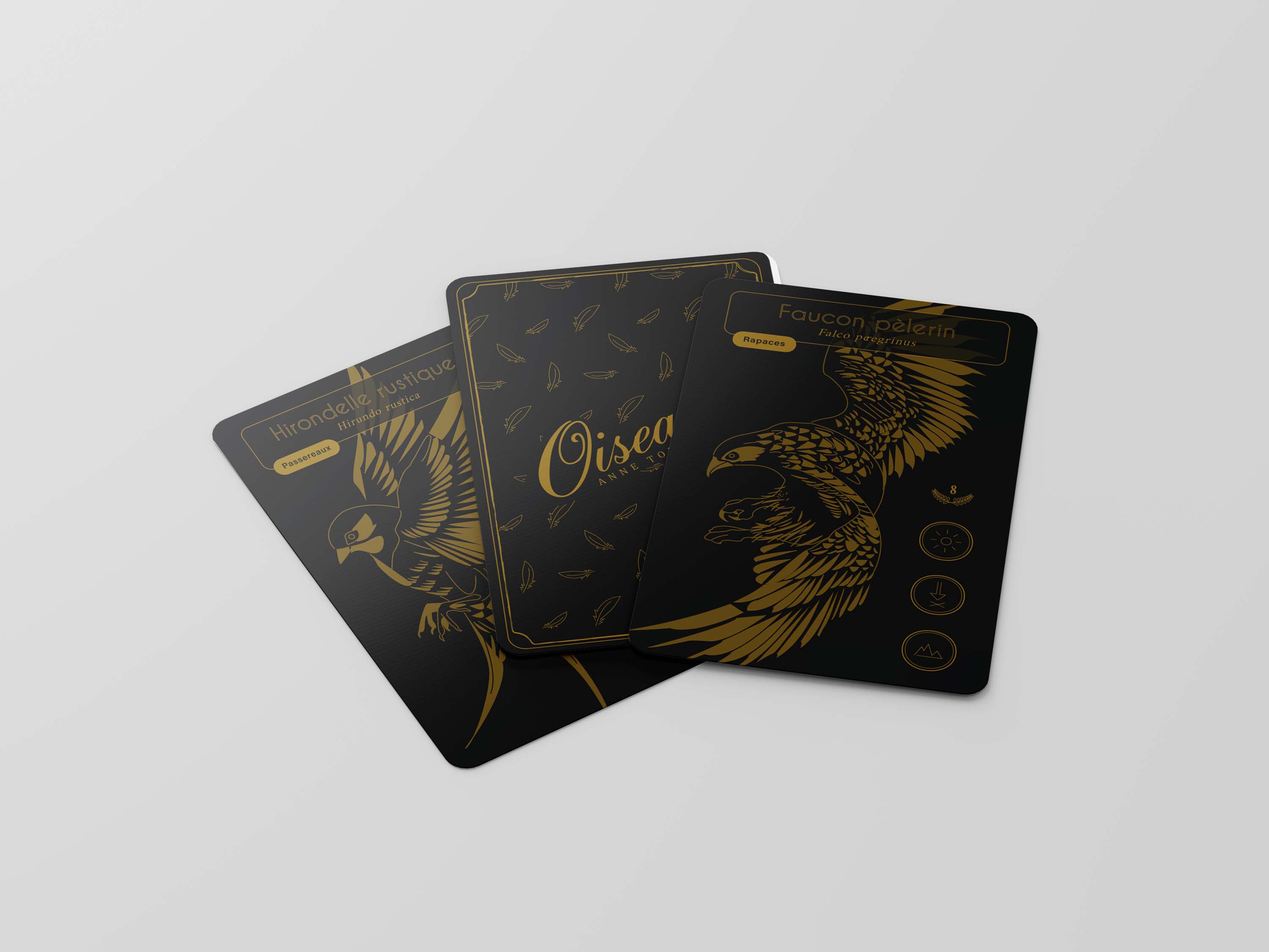 Mockup de cartes ornithologiques